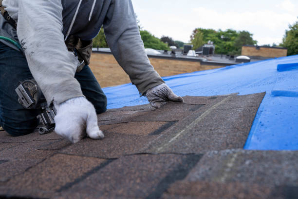 Roof Gutter Cleaning in Fayetteville, NY